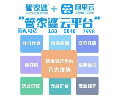 澳门管家婆，揭秘数据精准分析的秘密武器助你轻松驾驭数据世界,澳门管家婆100%精准—助你轻松分析数据
