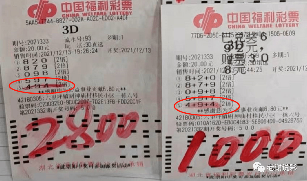 探索未来彩票世界，2025年天天彩免费资料与澳门天天开好彩精准24码,2025年天天彩免费资料,2025澳门天天开好彩精准24码