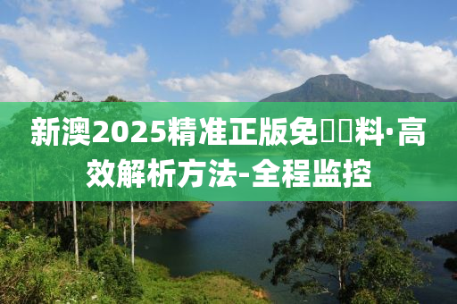 警惕虚假宣传，全面解析新澳2025精准正版免费资料,新澳2025精准正版免費資料,警惕虚假宣传,全面解释落实
